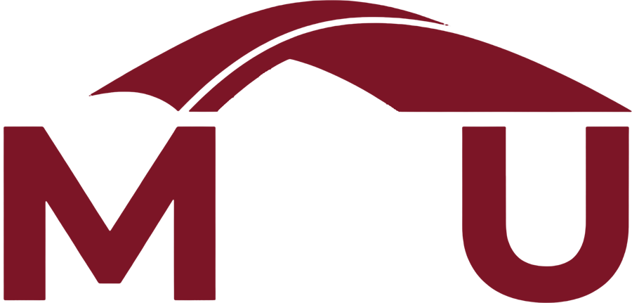 Ikon MMU
